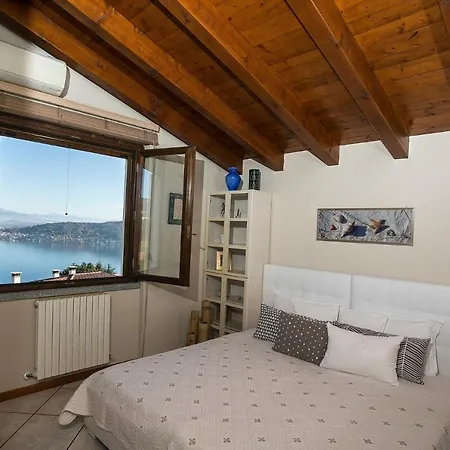 Primula Villa *